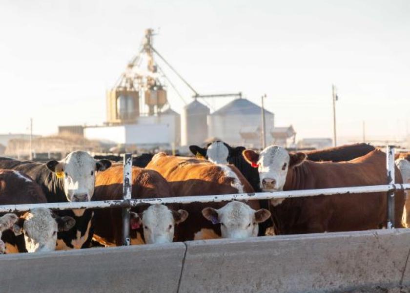 2023 Hereford Feedout Program Accepting Enrollments Drovers